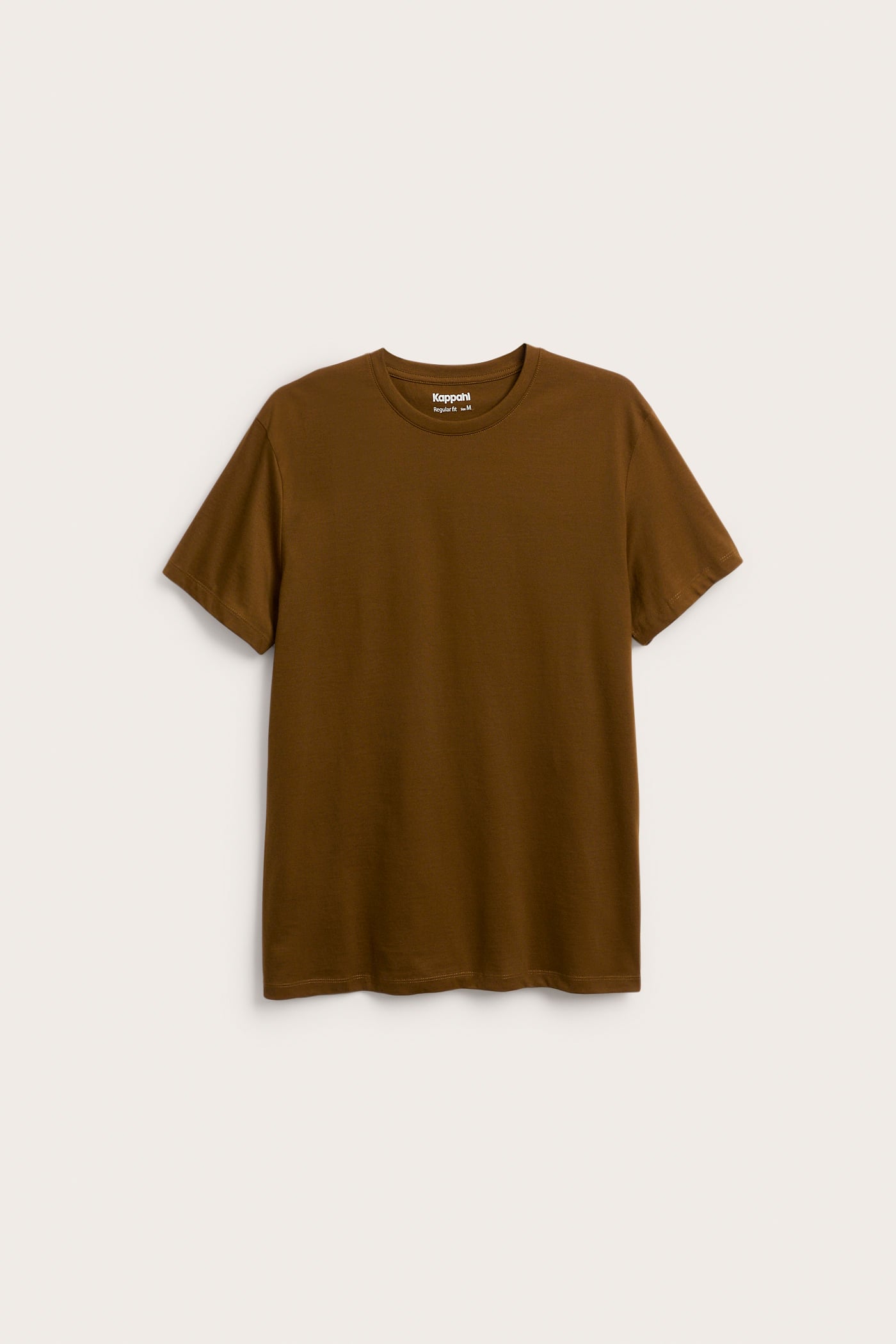 Framifrån, en brun regular fit kortärmad t-shirt med rund hals för män.