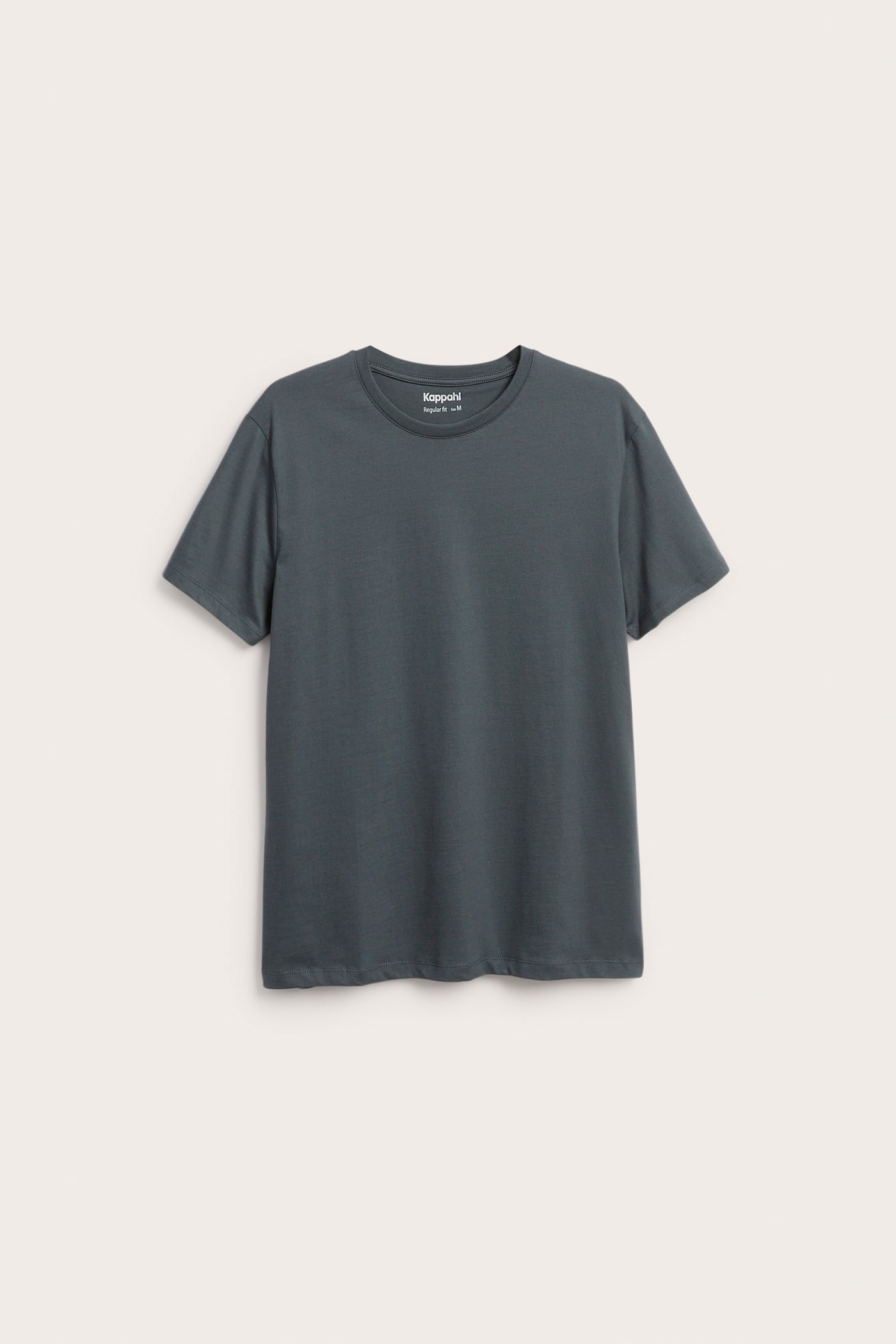 Framifrån, mörkgrå kortärmad t-shirt med rund hals.