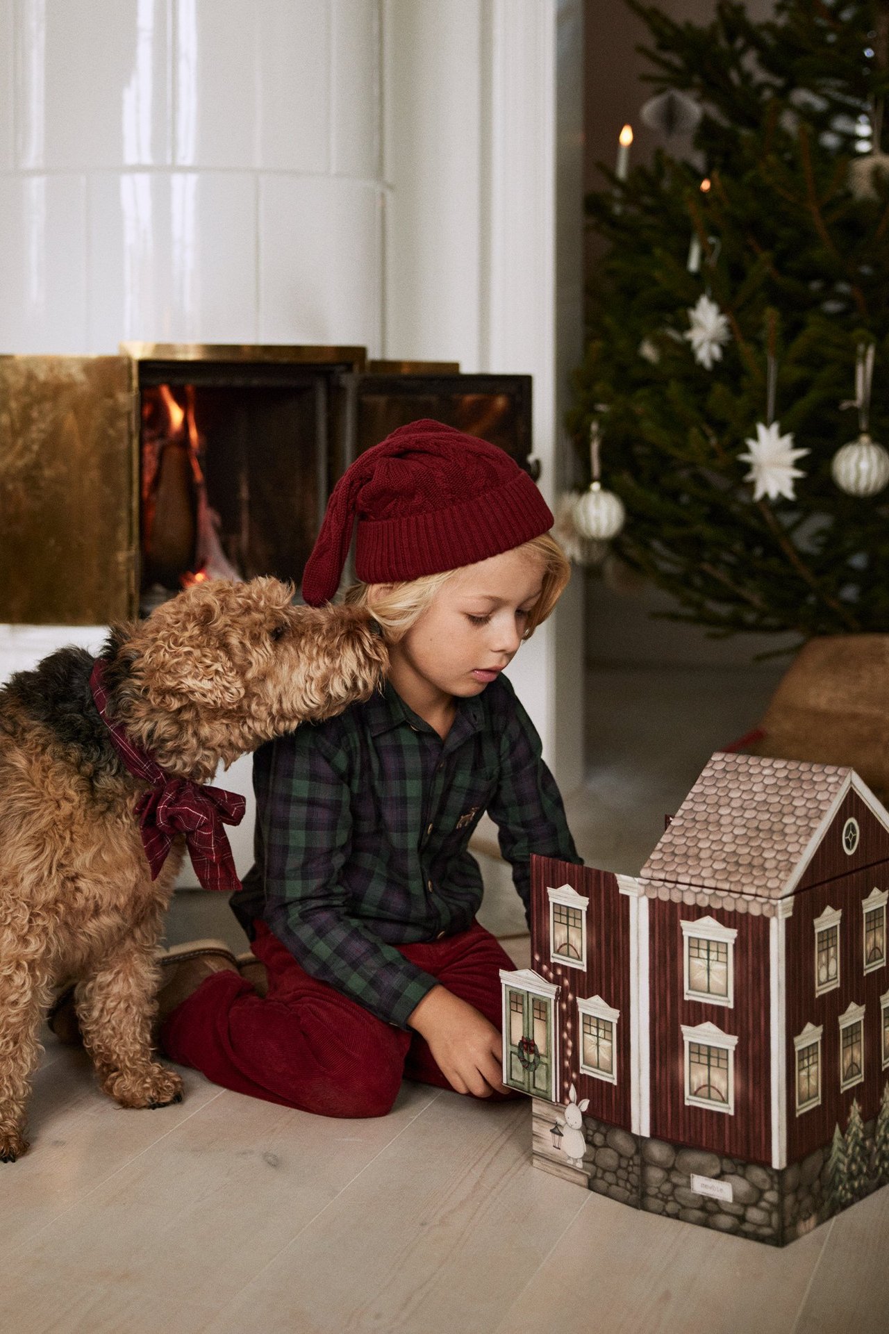 Poika ja koira leikkivät Newbien adventtikalenterilla.