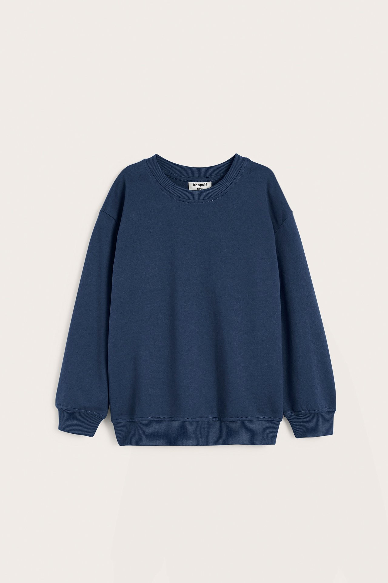 Sweatshirt med borstad insida