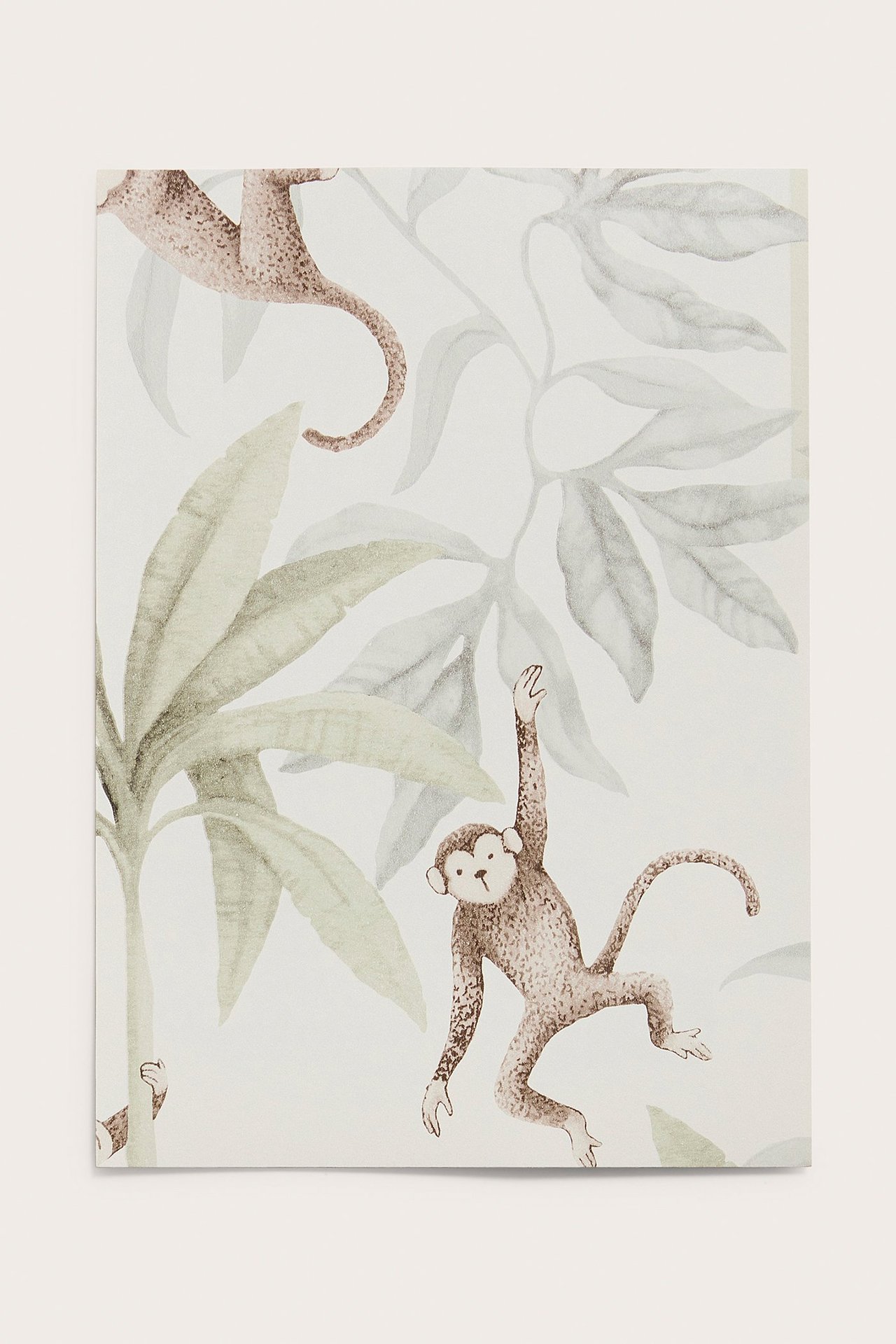 Zbliżenie białej próbki tapety z brązowymi małpami i zielonym wzorem liści dżungli.