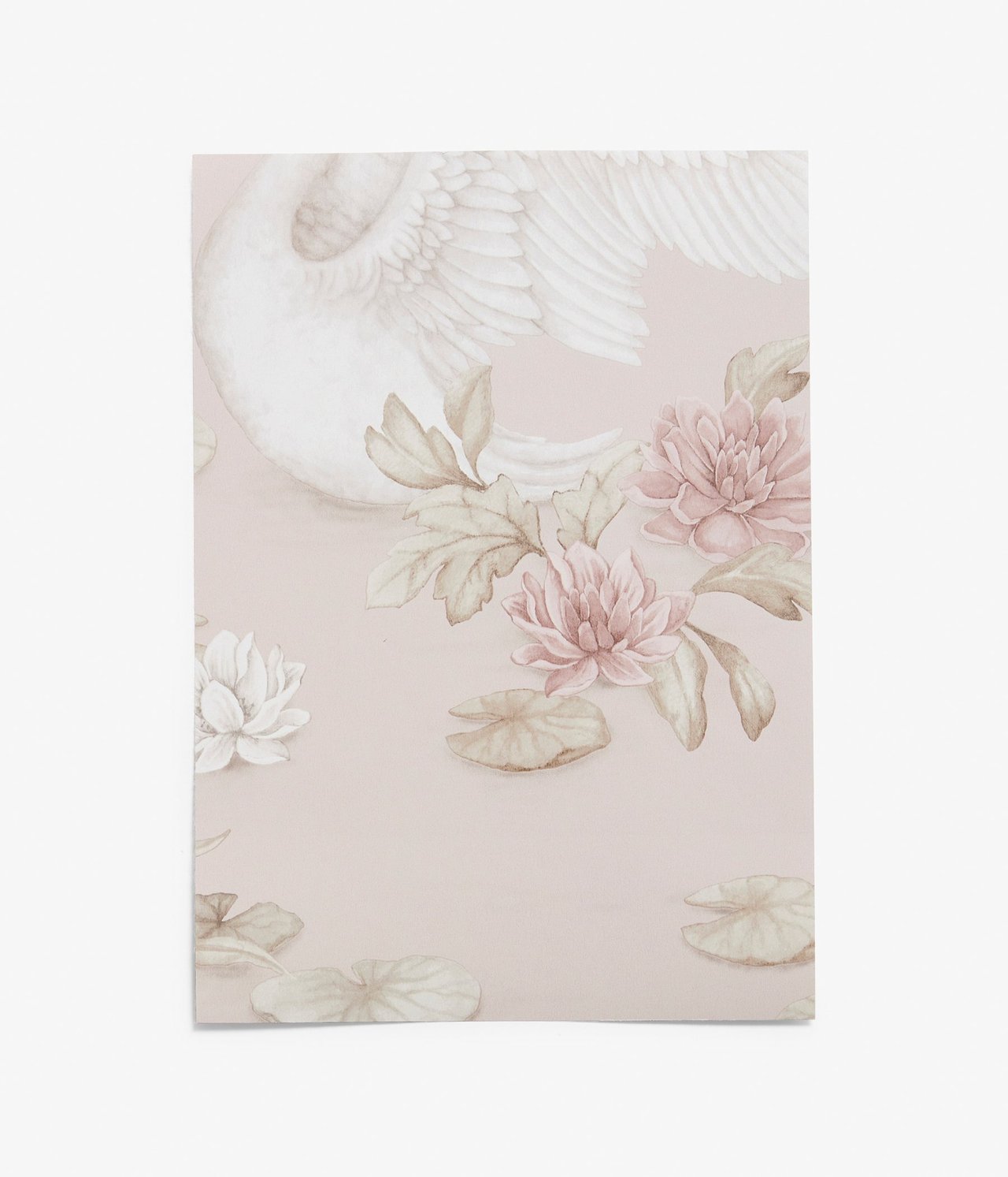 Widok z przodu jasnoróżowej próbki tapety z białym łabędziem, różowymi kwiatami i wzorem lilii wodnych.