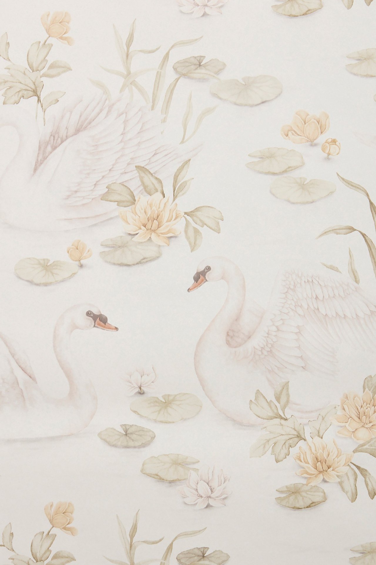 Tapeta Lily Swan