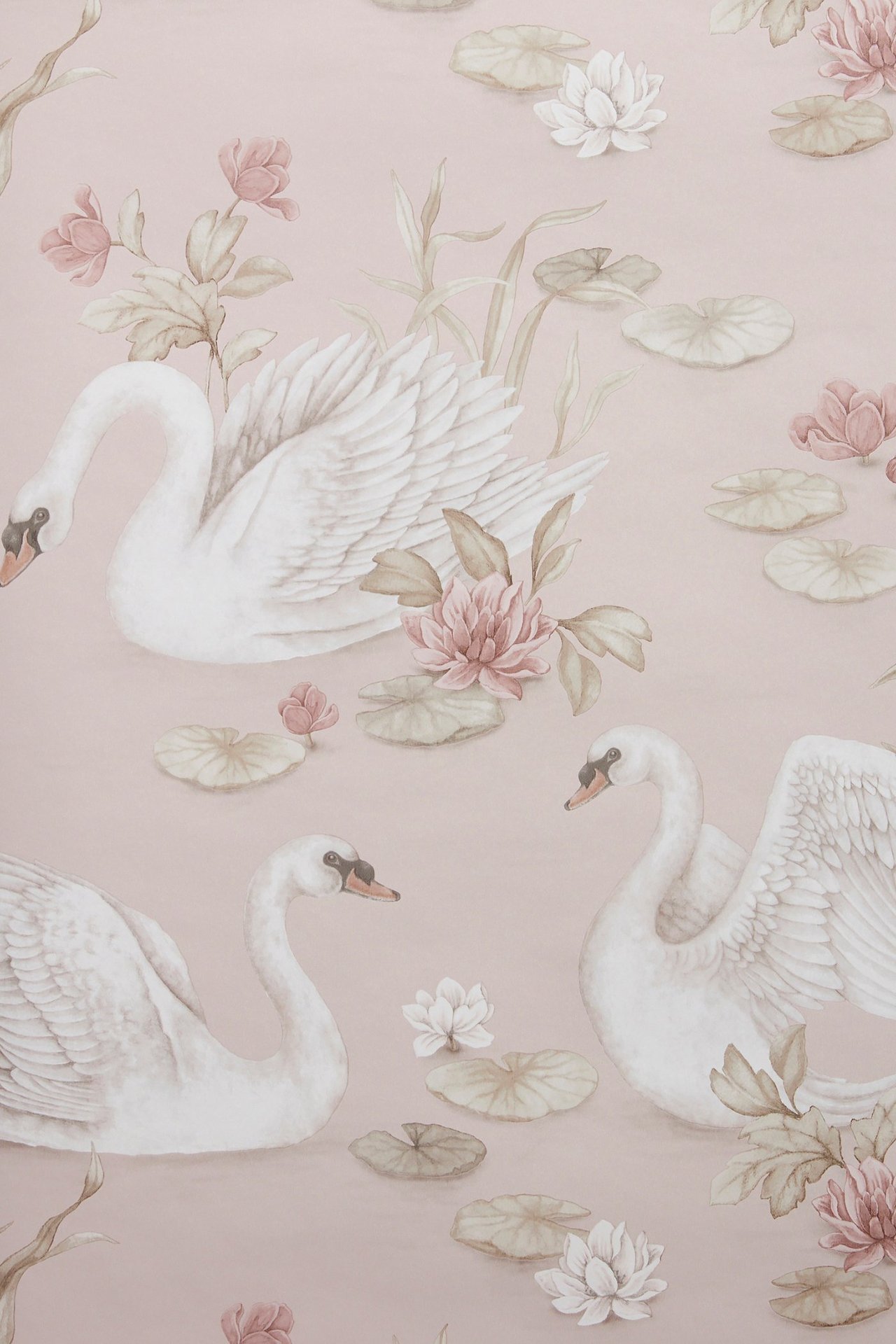 Forside av en lyserosa tapet med mønster av hvite svaner og rosa vannliljer.