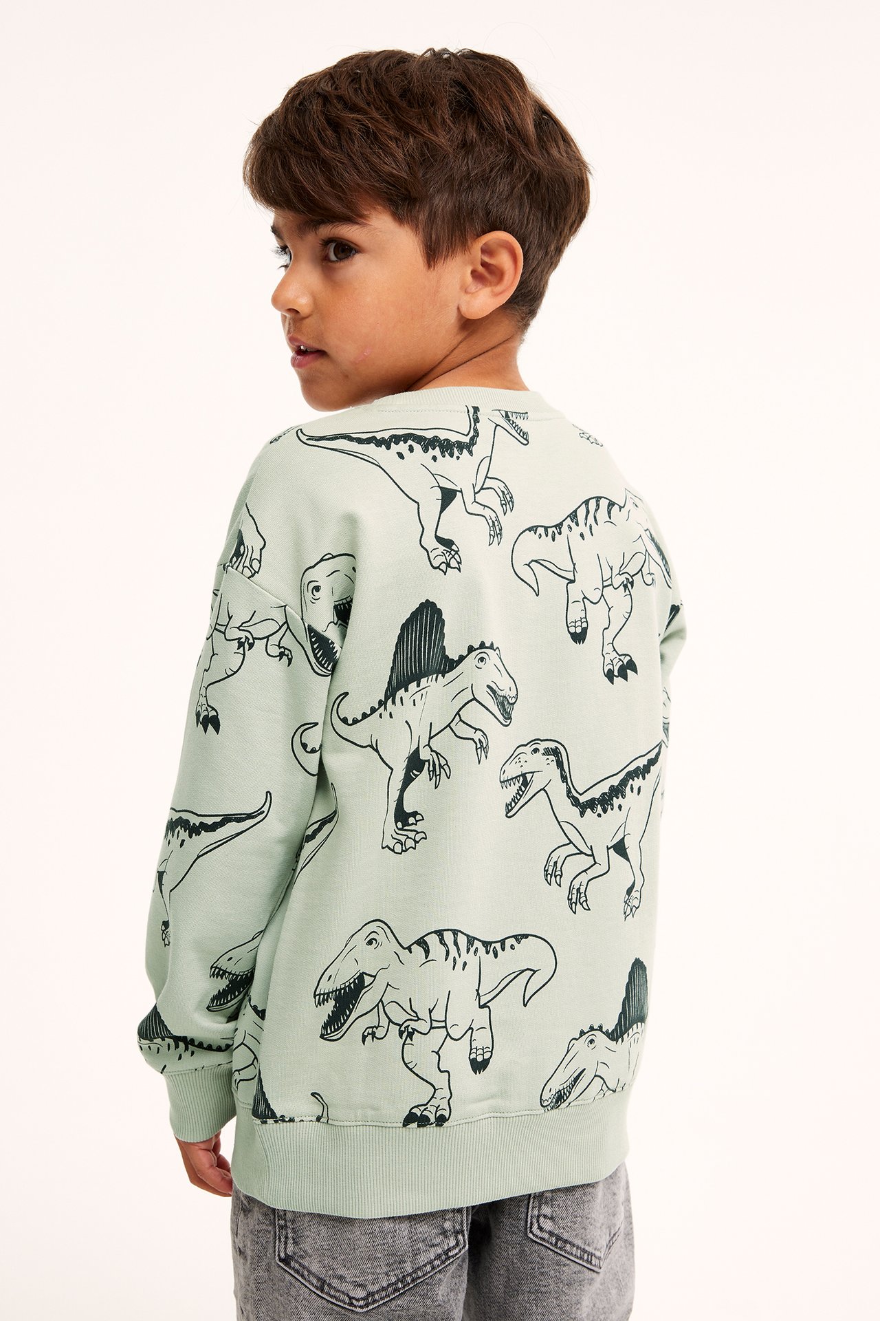 Sweatshirt med dinosaurier - Grå - 3