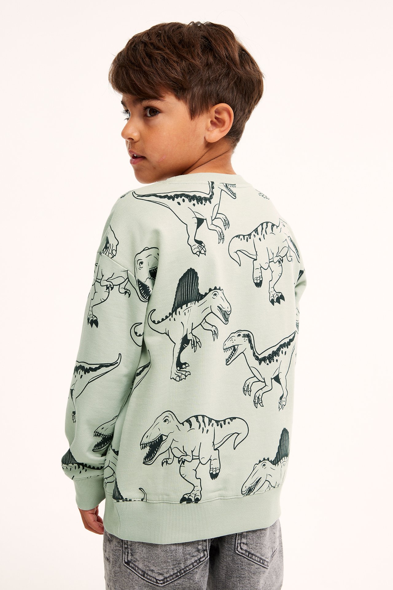 Sweatshirt med dinosaurier - Grön - 3