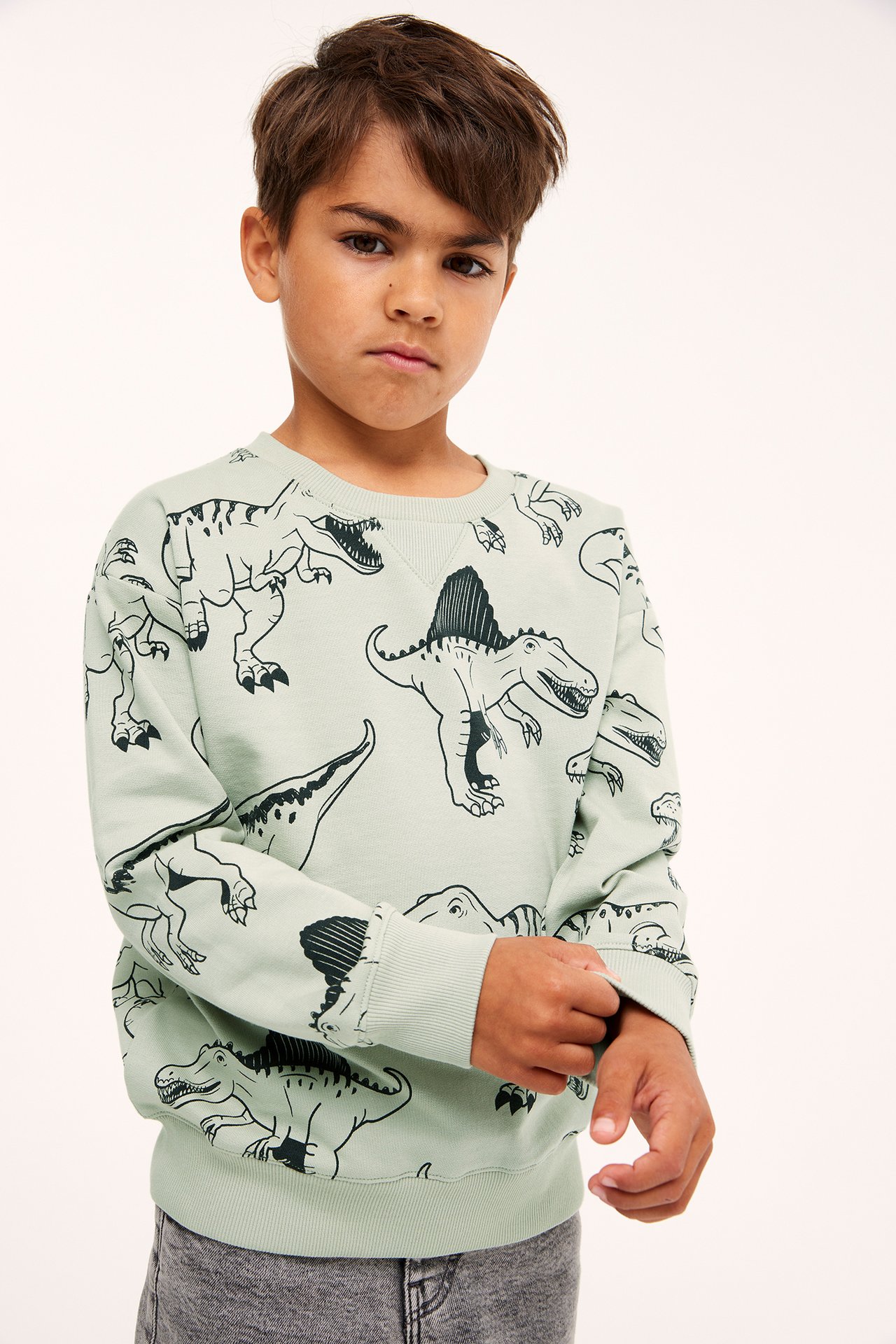 Sweatshirt med dinosaurier - Grön - 2