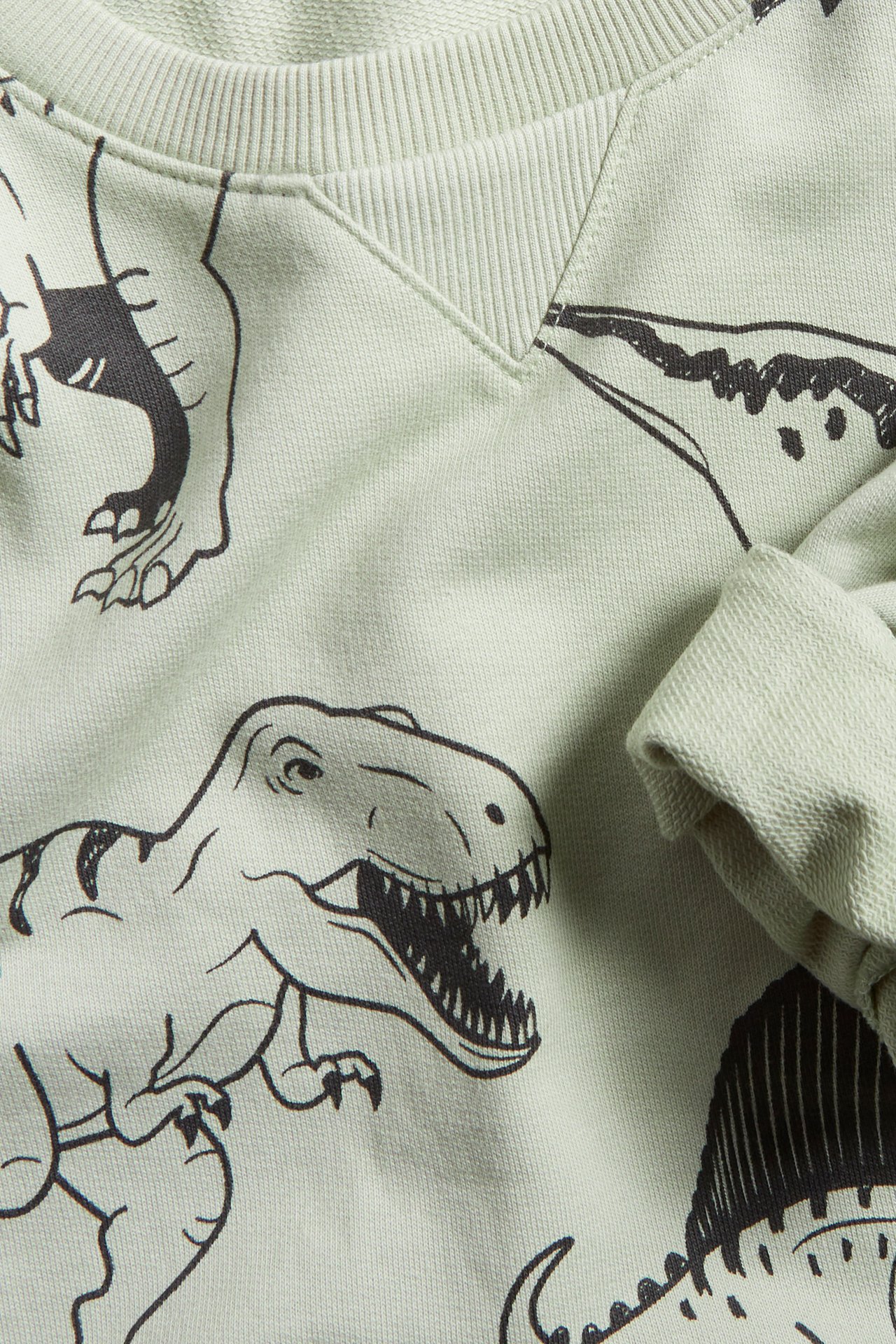 Bluza w dinozaury - Szary - 4
