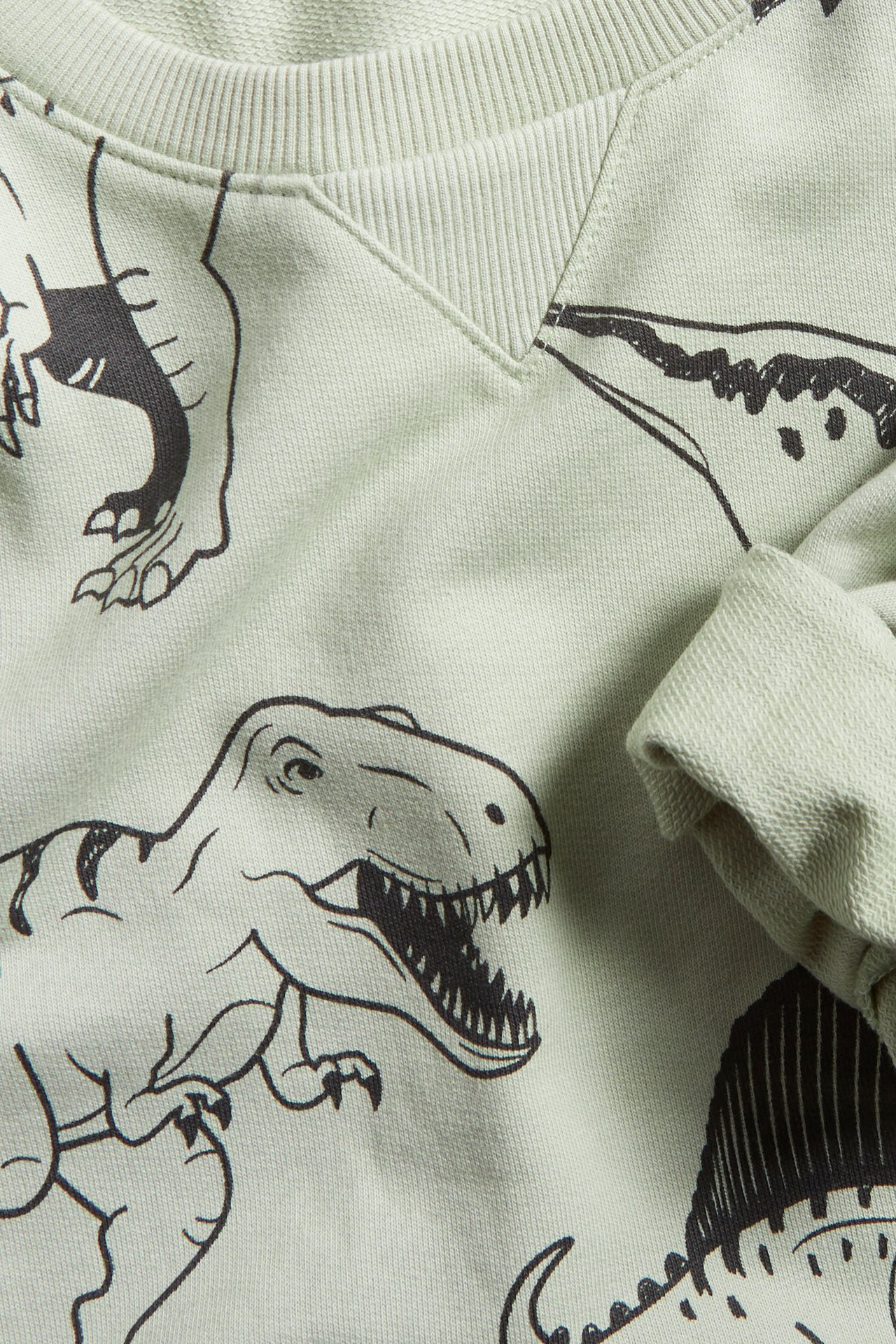 Sweatshirt med dinosaurier - Grön - 4