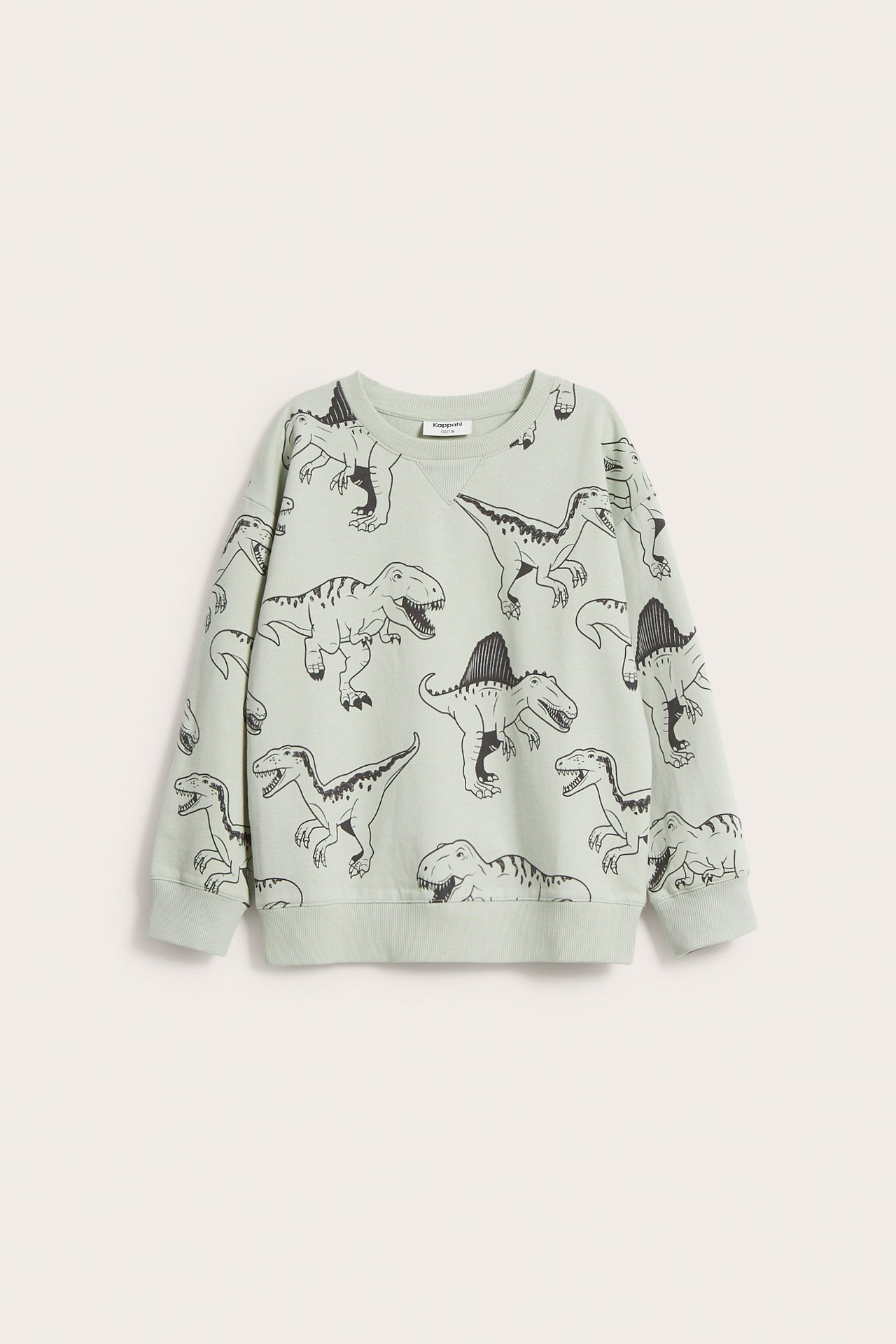 Sweatshirt med dinosaurier - Grå - 5