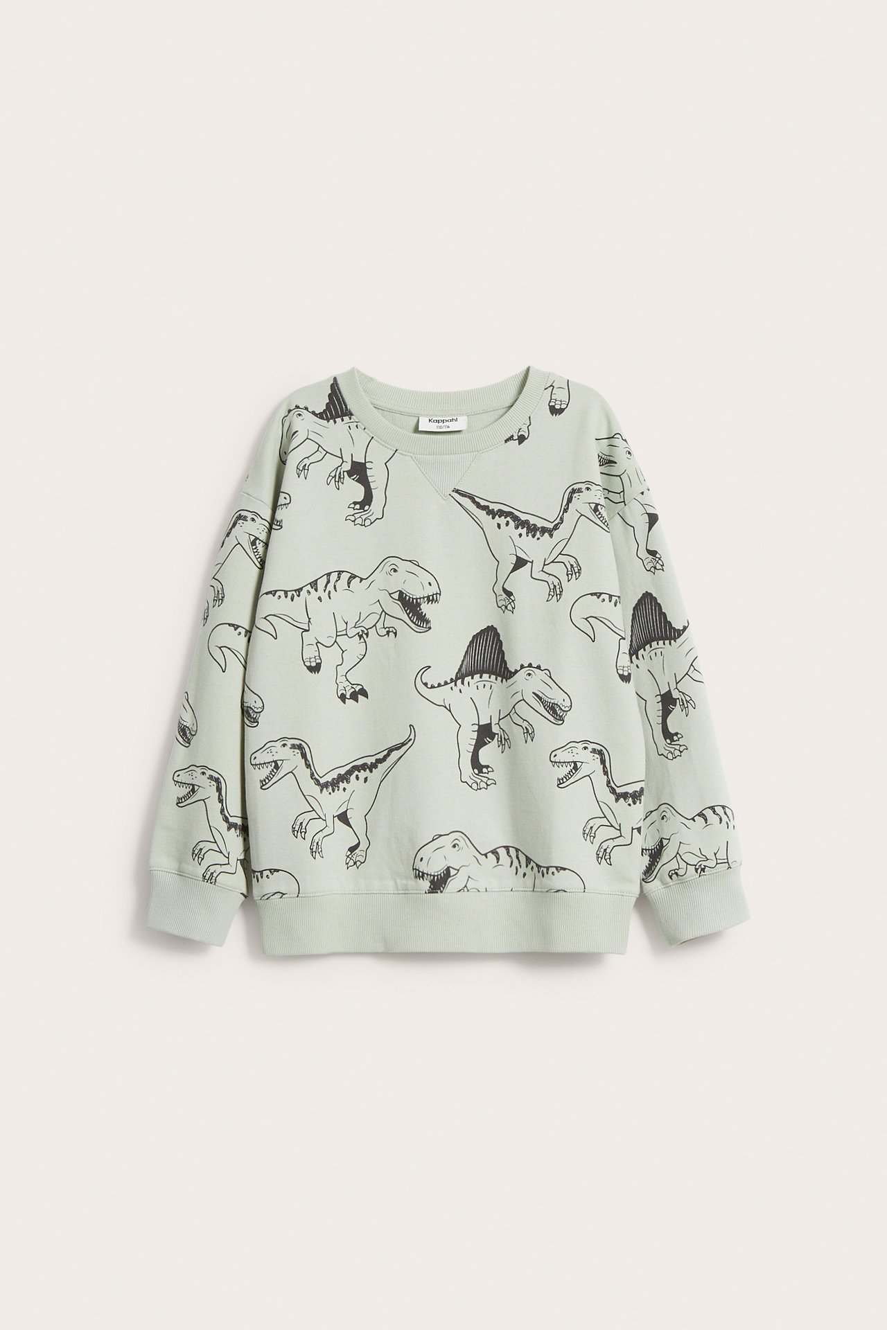 Sweatshirt med dinosaurier - Grön - 5