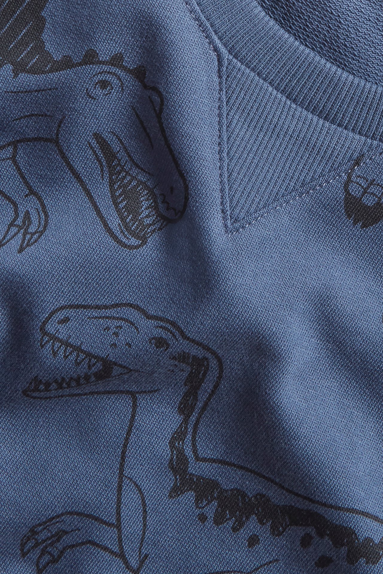 Sweatshirt med dinosaurer - Blå - 1