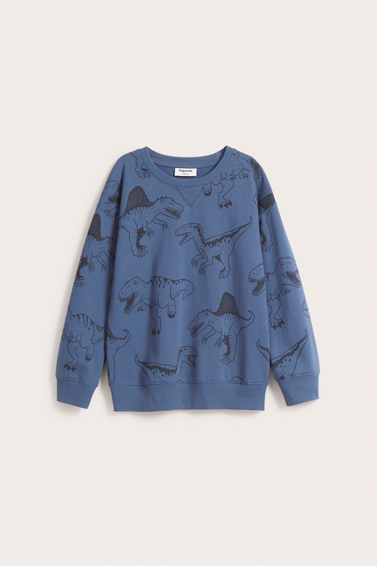 Sweatshirt med dinosaurer - Blå - 2