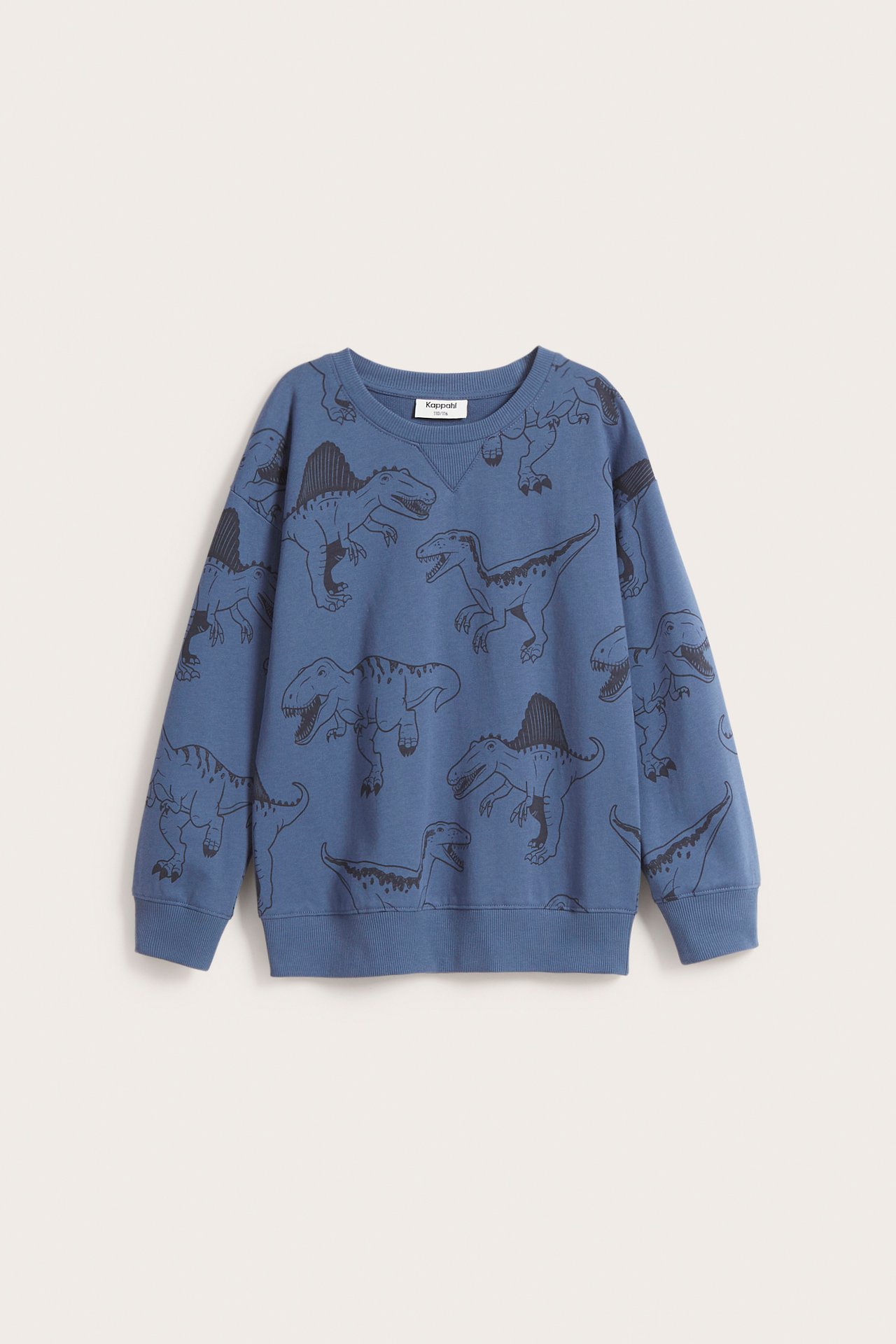 Bluza w dinozaury - Niebieski - 2