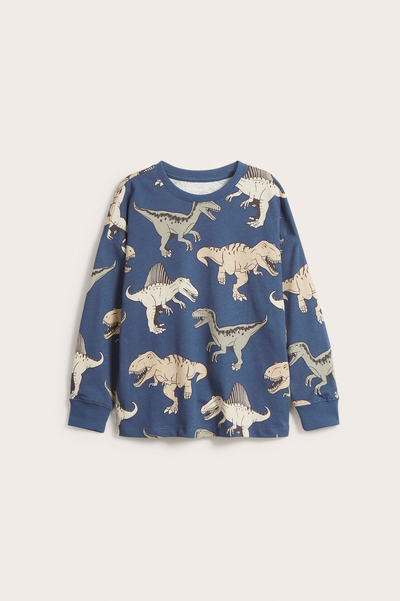 Bluza z długimi rękawami - Niebieski - 5