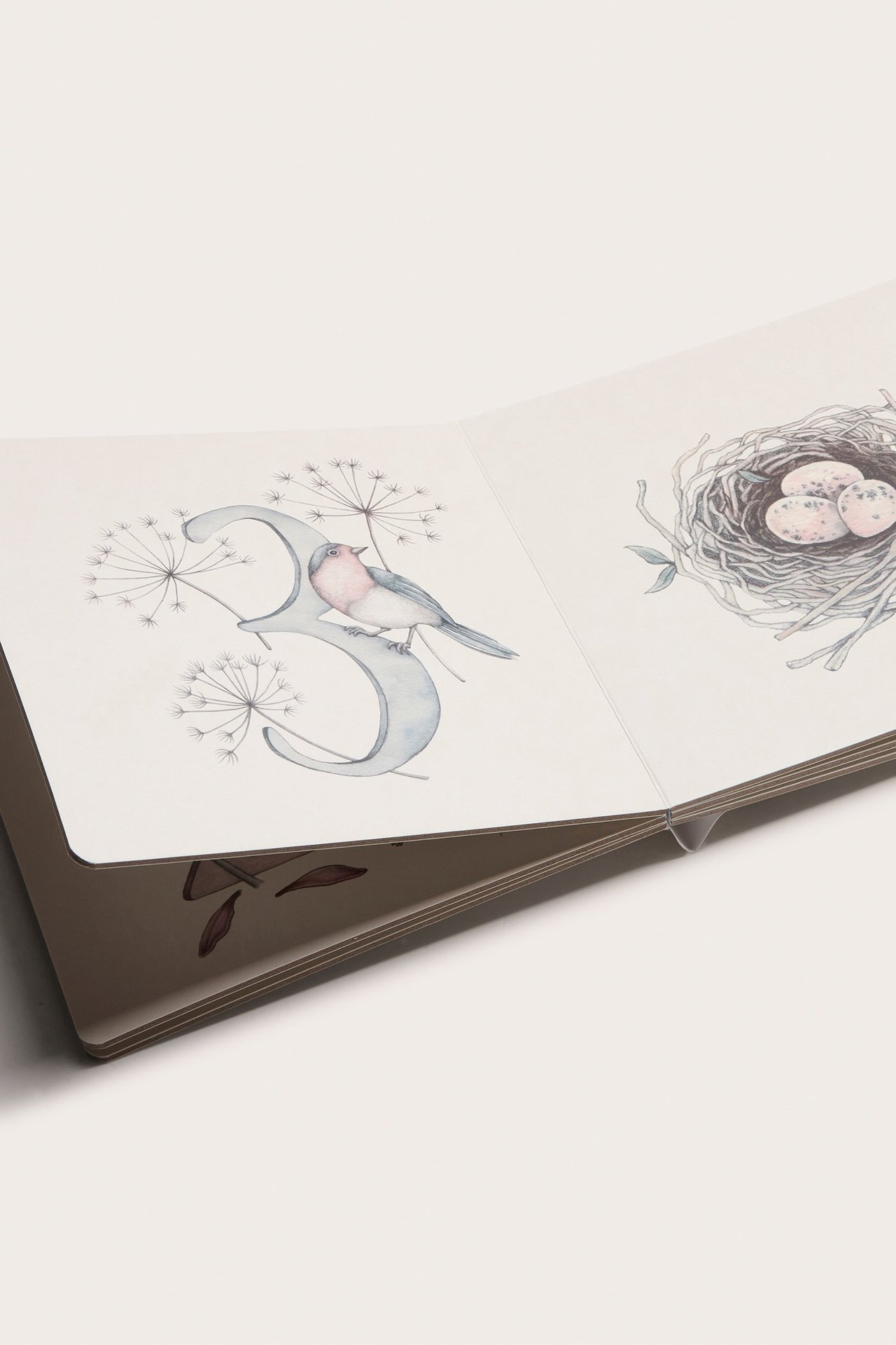 Zbliżenie otwartej, kremowej książki obrazkowej w twardej oprawie z ilustracjami ptaka i gniazda.