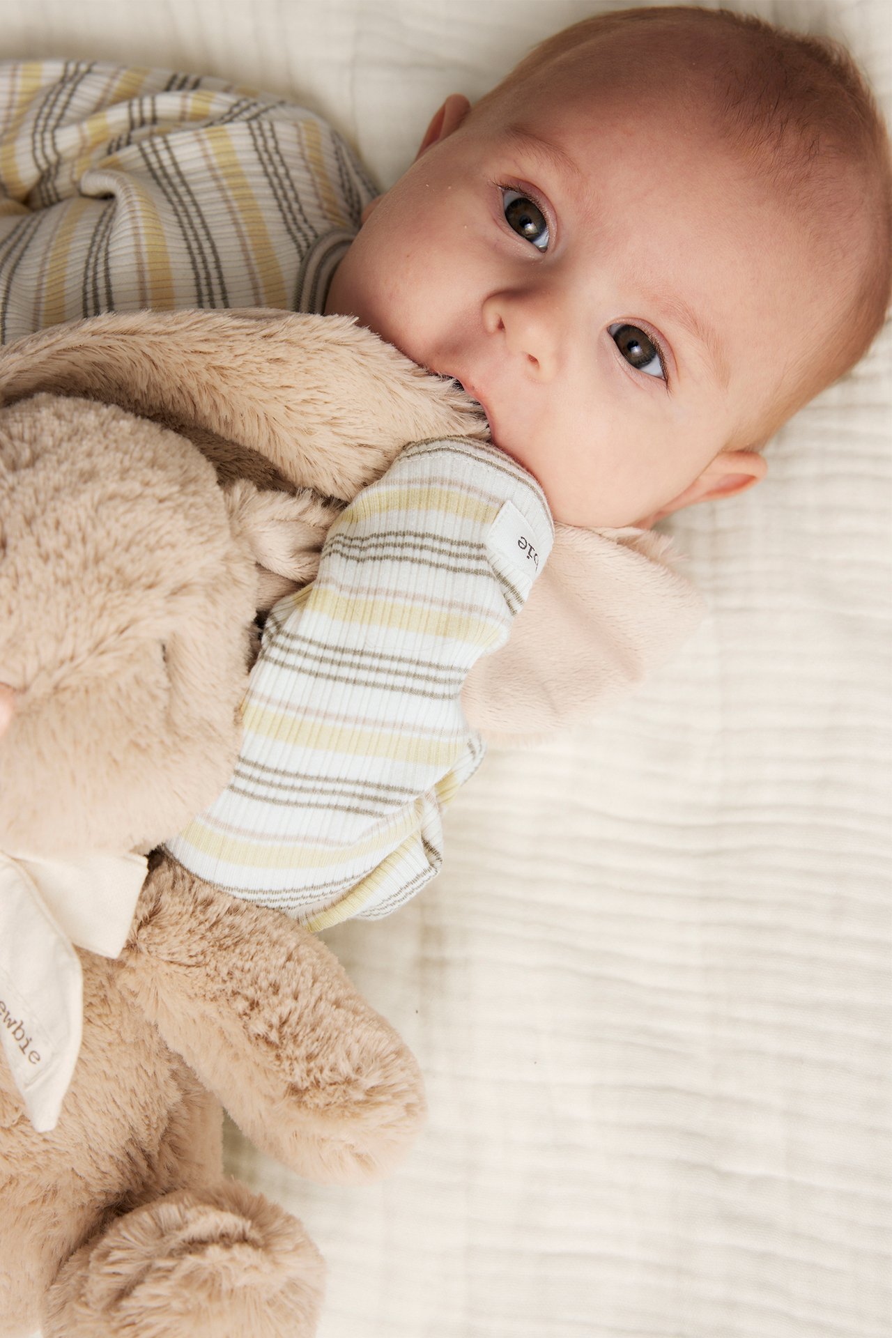 Närbild på baby i offwhite randig långärmad body, håller en ljusbrun mjukdjursleksak.
