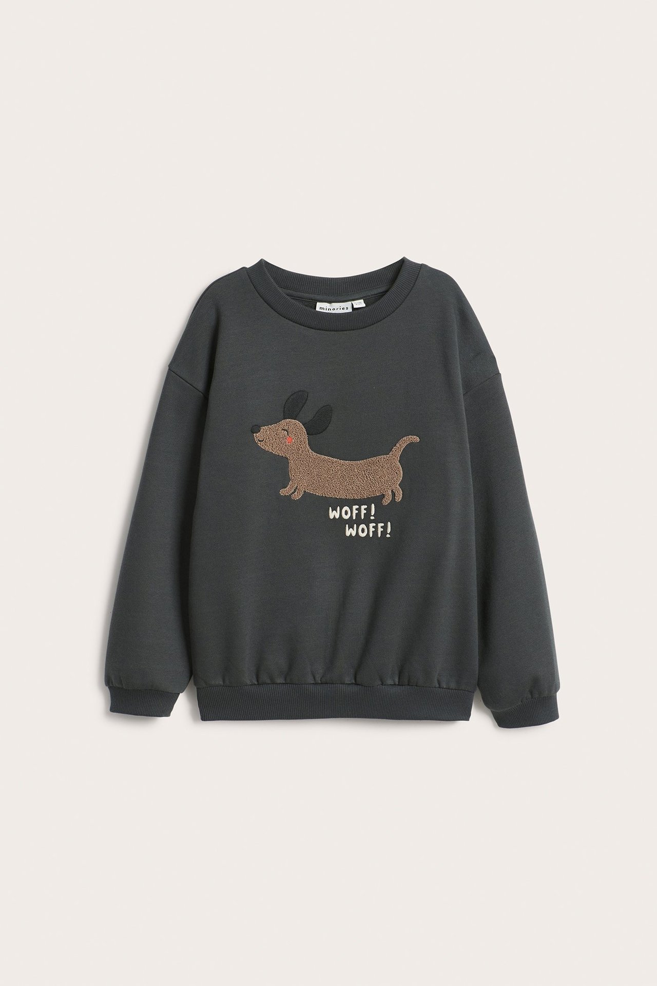 Sweatshirt med applikation