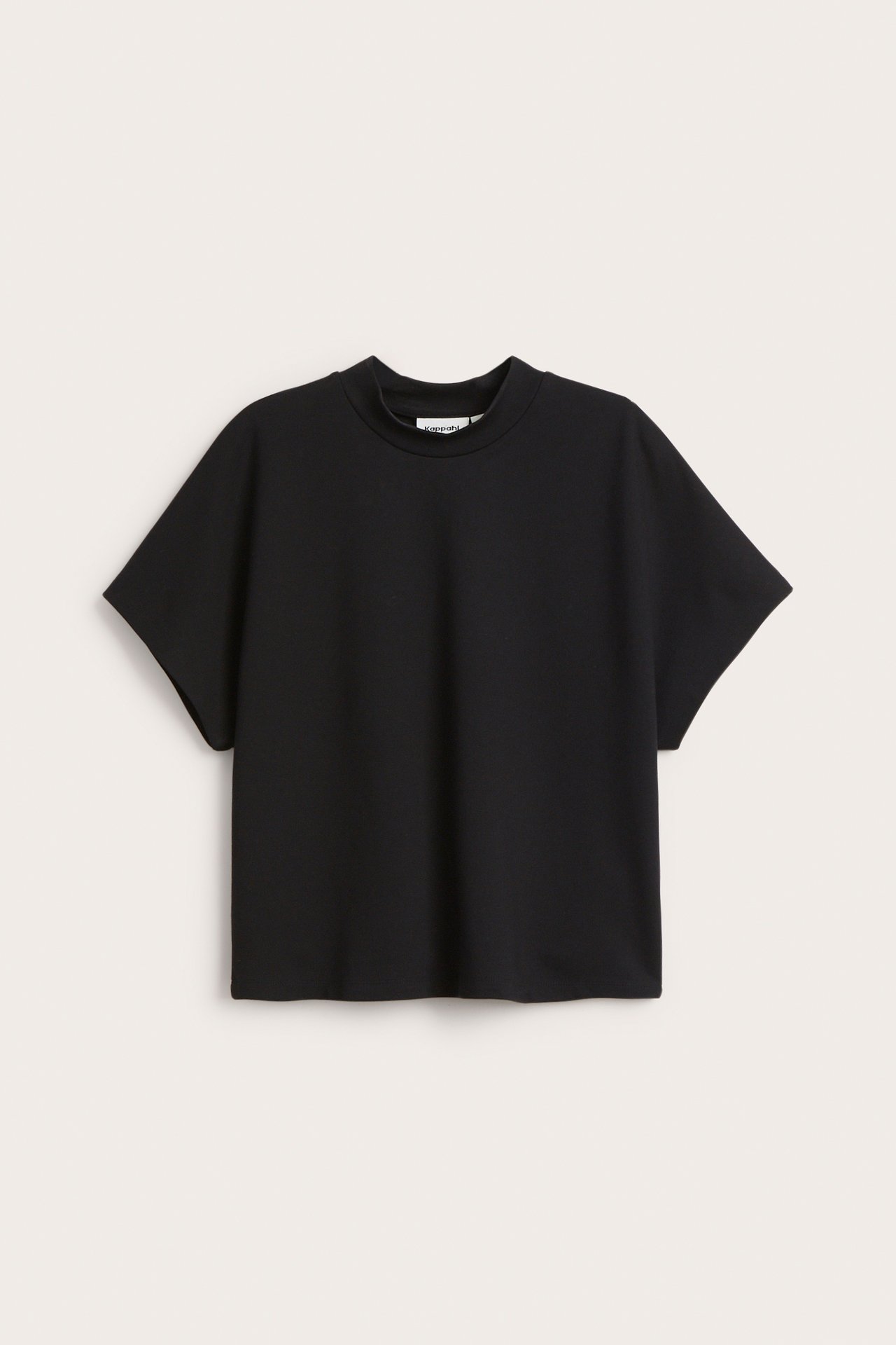 Framifrån, en enfärgad svart kortärmad topp med turtleneck.