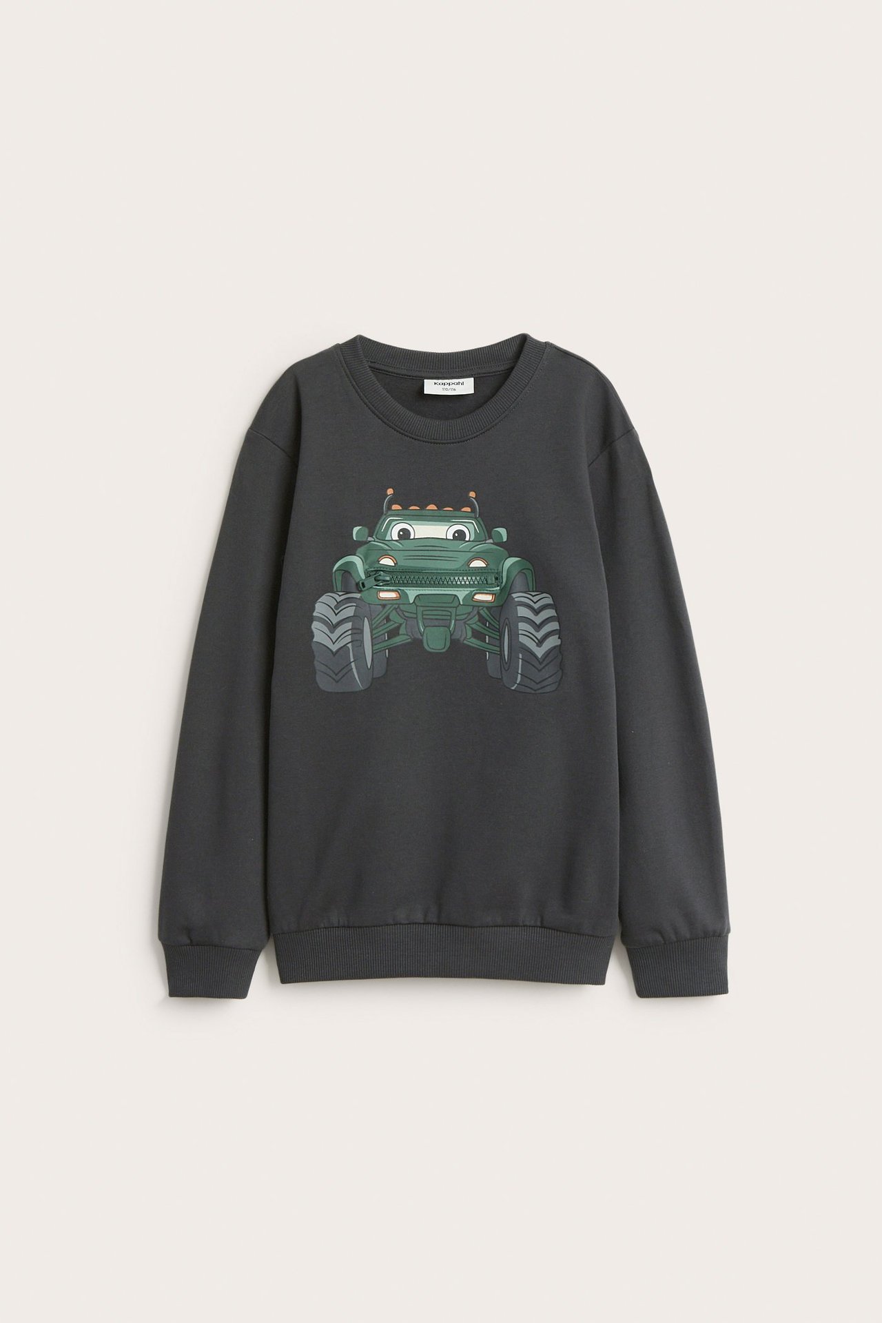 Sweatshirt med trykk