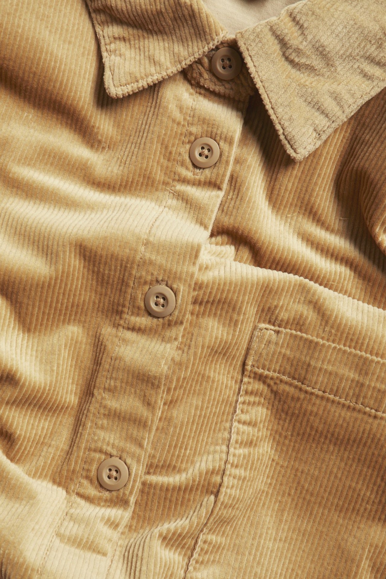 Zbliżenie na ciemnobeżową koszulę sztruksową z guzikami, kołnierzem i kieszenią na piersi.