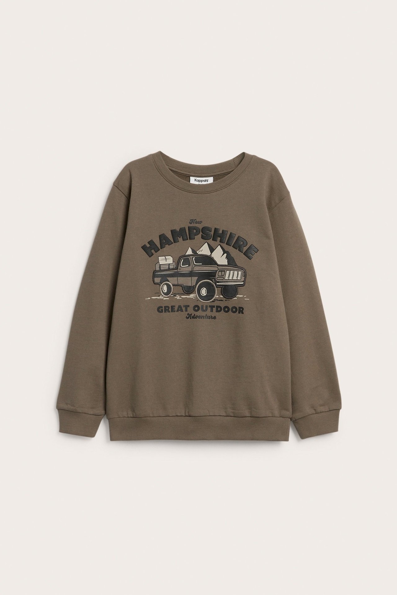 Sweatshirt med tryck