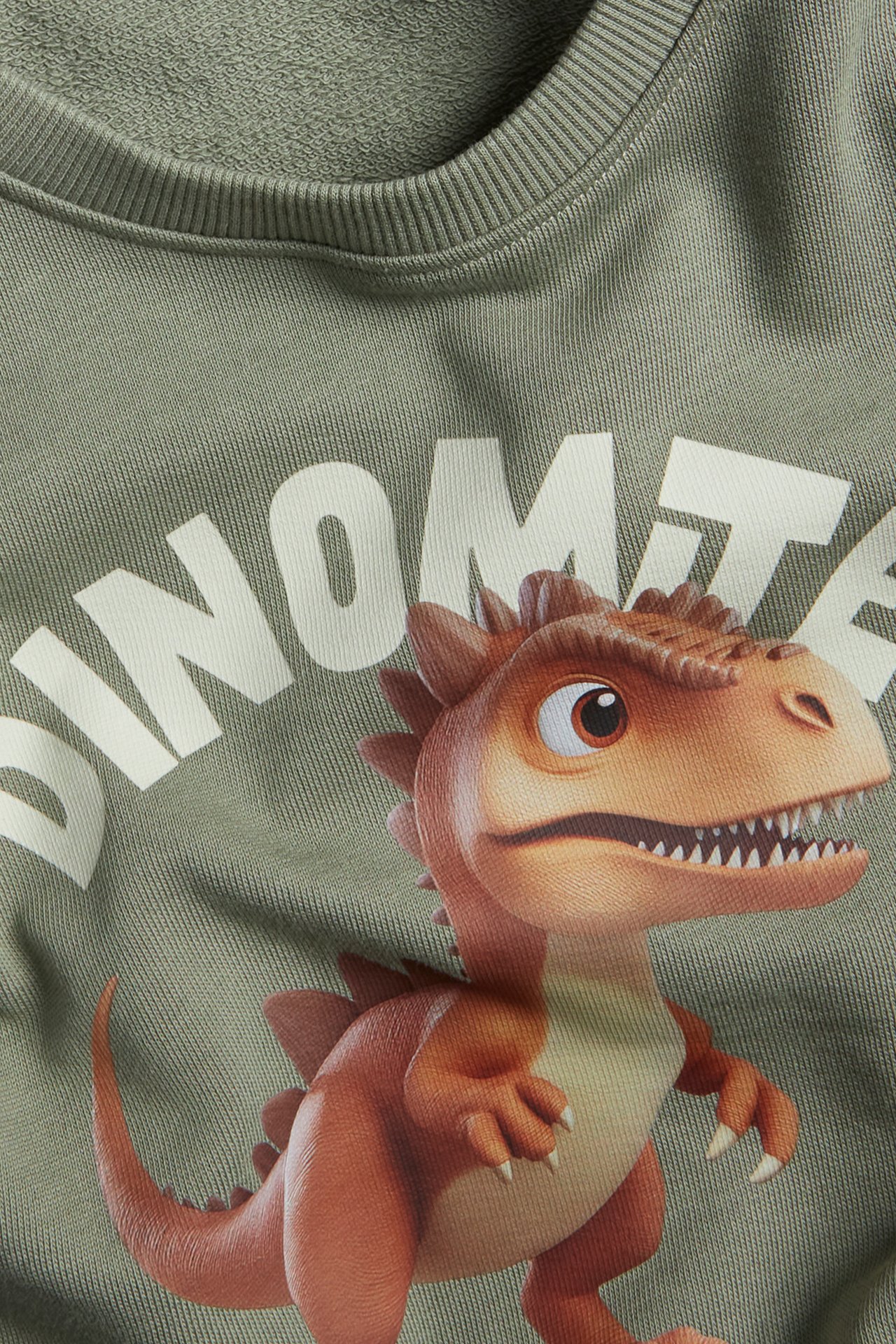 Närbild av en grön bomullssweatshirt med ribbad hals och färgglatt dinosaurietryck framtill.