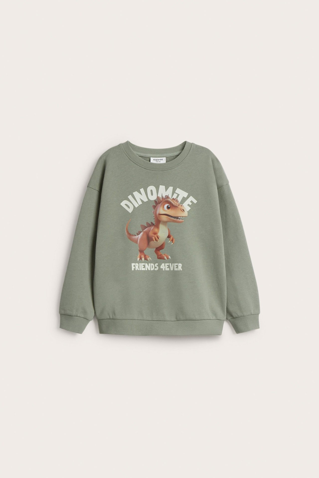 Sweatshirt med dinosaurie