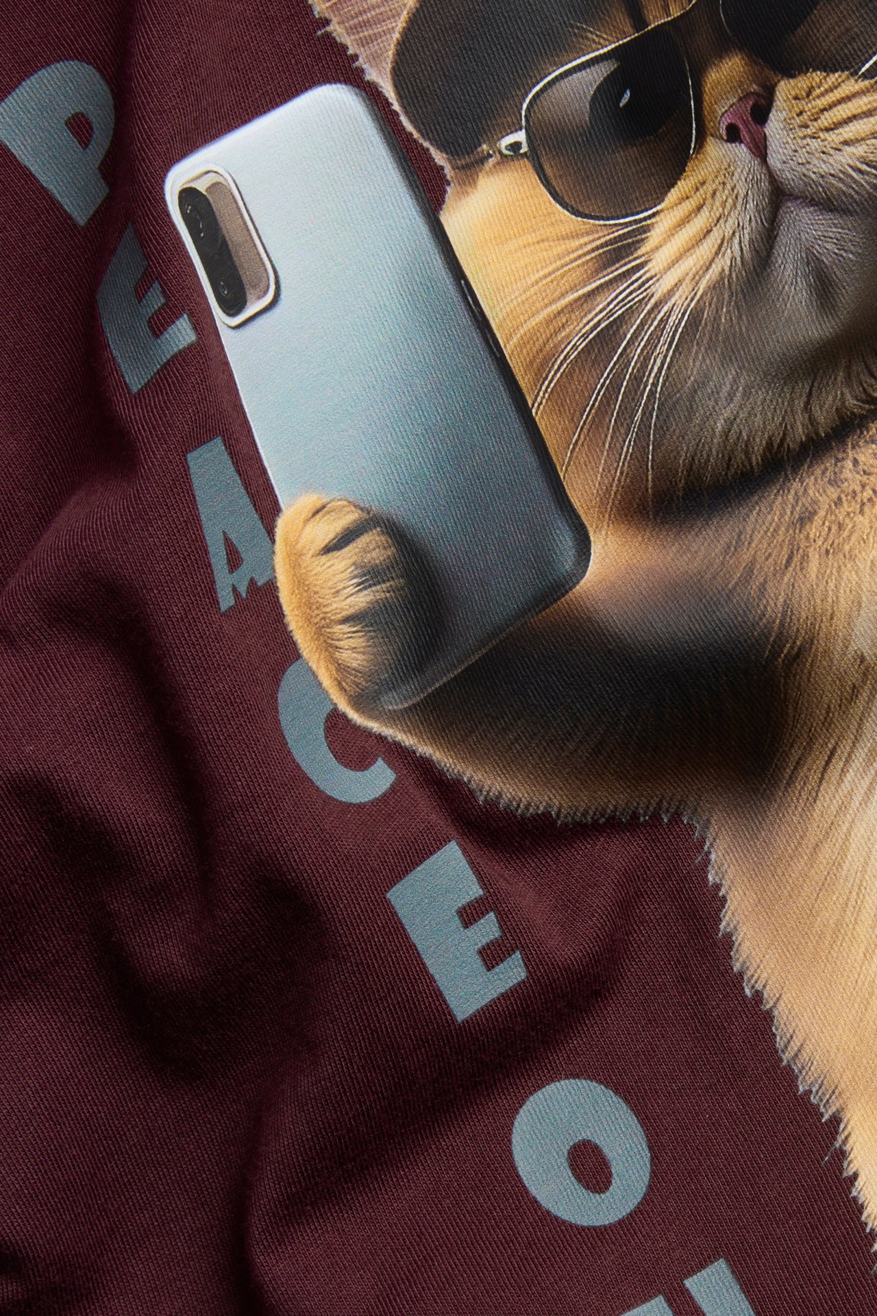 Människa i maroon T-shirt med tryck, bortom kameran, med en katt i solglasögon framför.