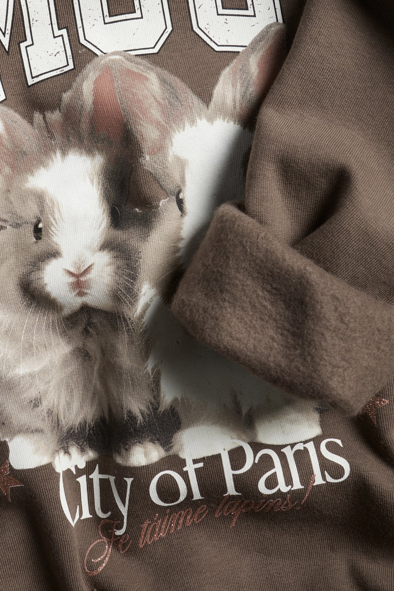 Lähikuva ruskeasta collegepaidasta, jossa on suuri kaniprintti ja "City of Paris" -teksti.