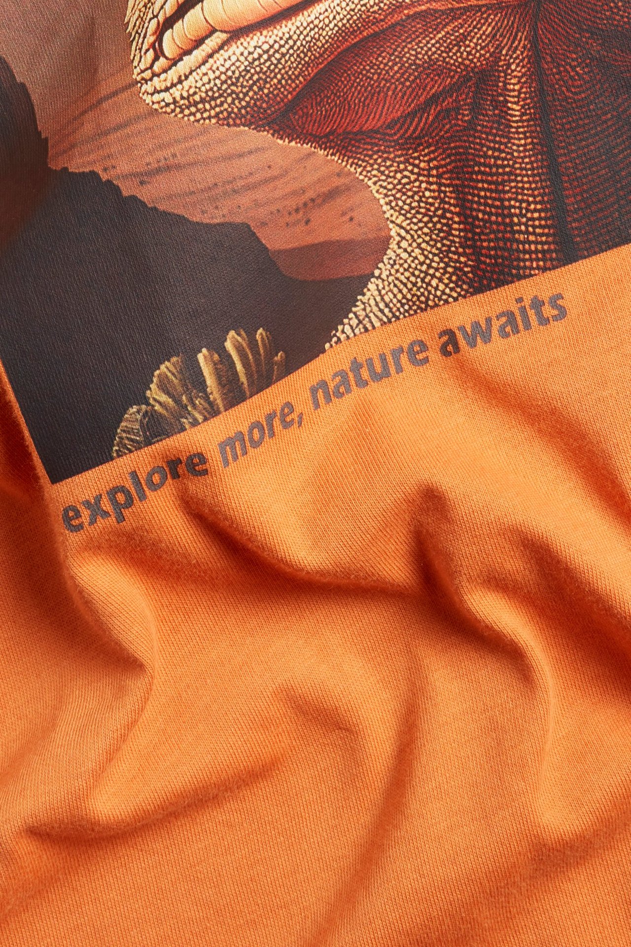 Zbliżenie z przodu pomarańczowej bawełnianej koszulki dziecięcej z nadrukiem dinozaura i tekstem.