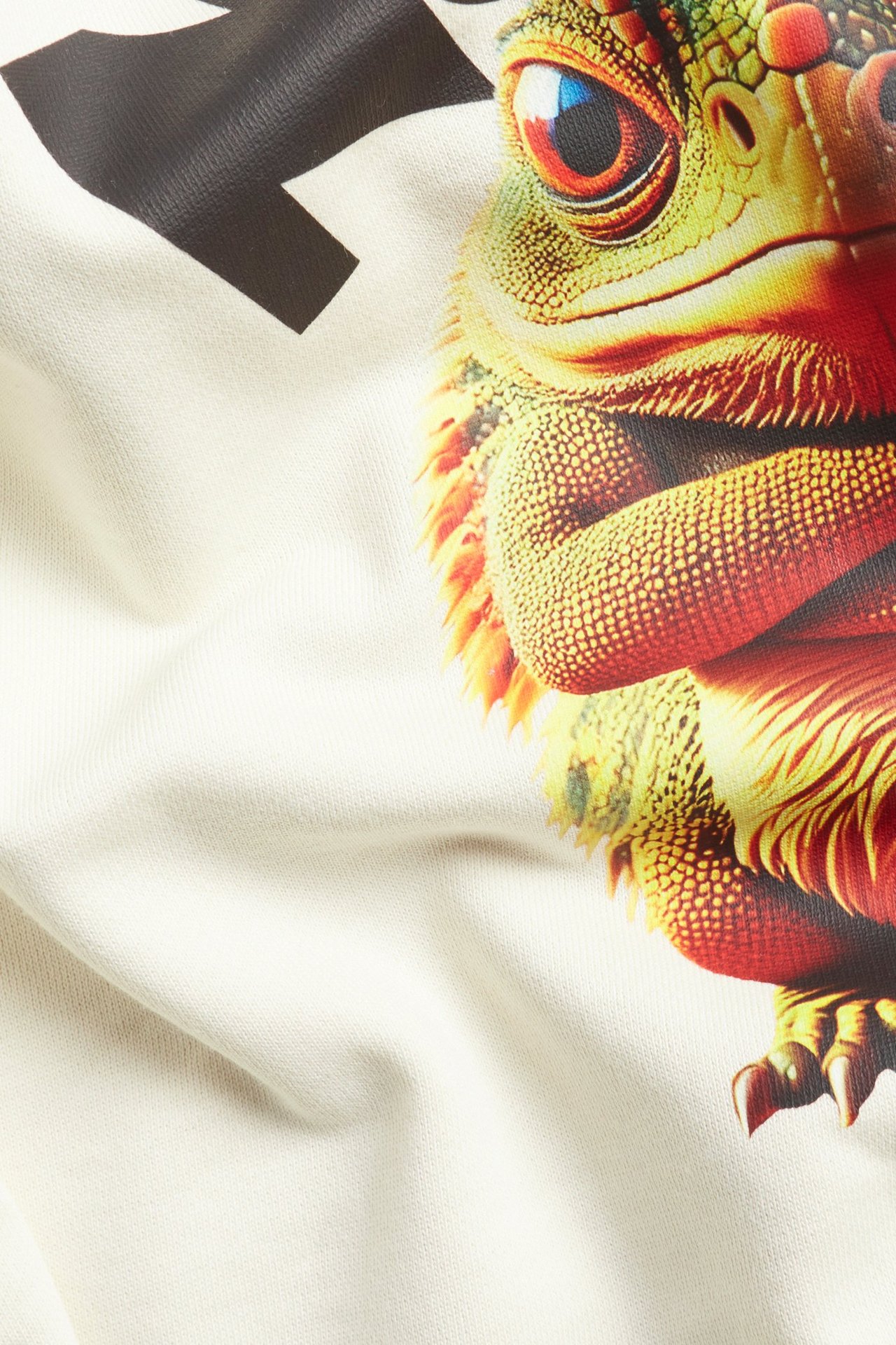 Zbliżenie na jasnobeżową bawełnianą bluzę z dużym kolorowym nadrukiem jaszczurki z przodu.