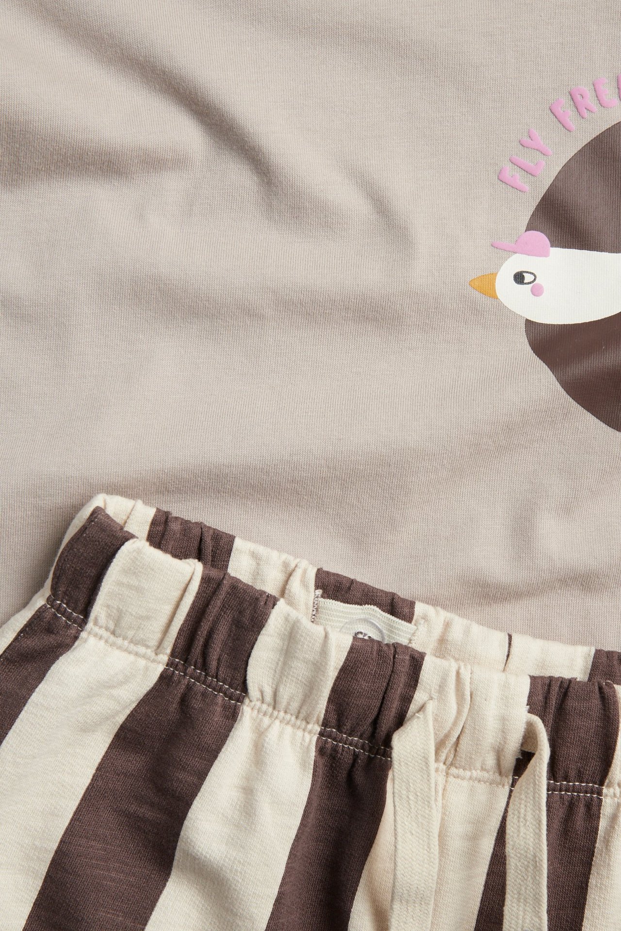 Zbliżenie na brązowo-beżowe szorty w paski z elastyczną talią i beżowy T-shirt z nadrukiem ptaka.