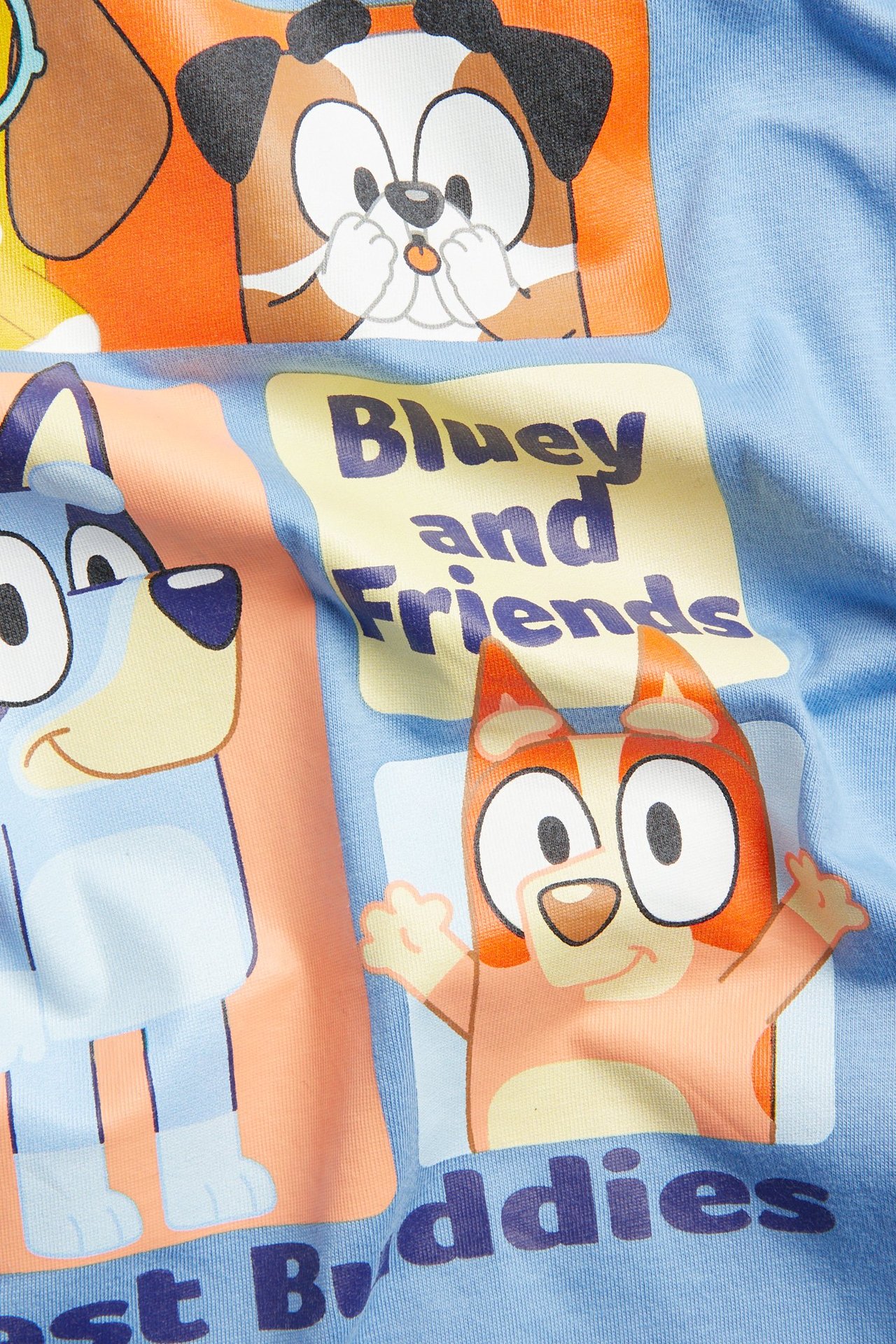 Widok z przodu z bliska: jasnoniebieska bawełniana koszulka dziecięca z okrągłym dekoltem i kolorowym nadrukiem 'Bluey and Friends'.