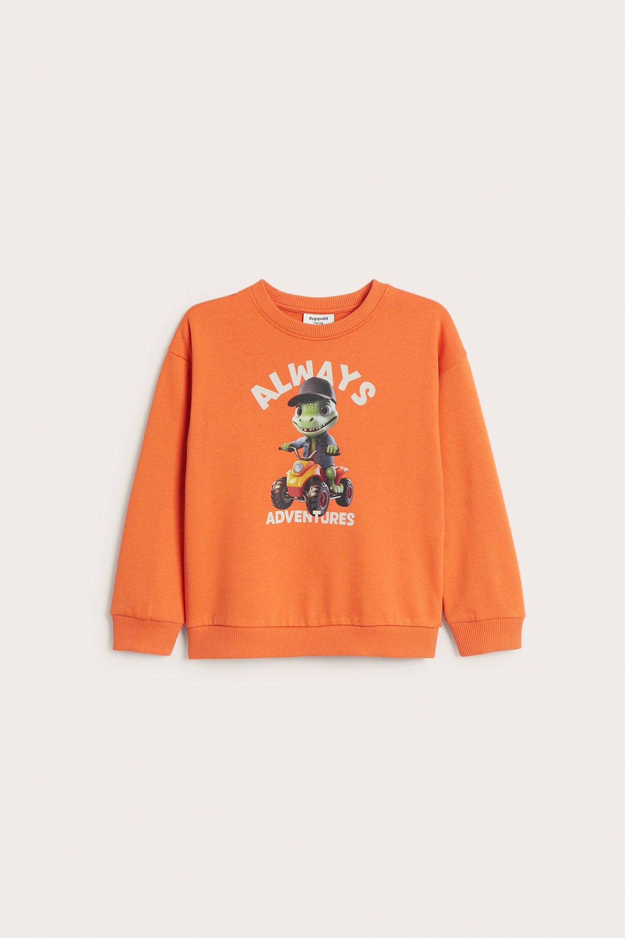 Sweatshirt med trykk