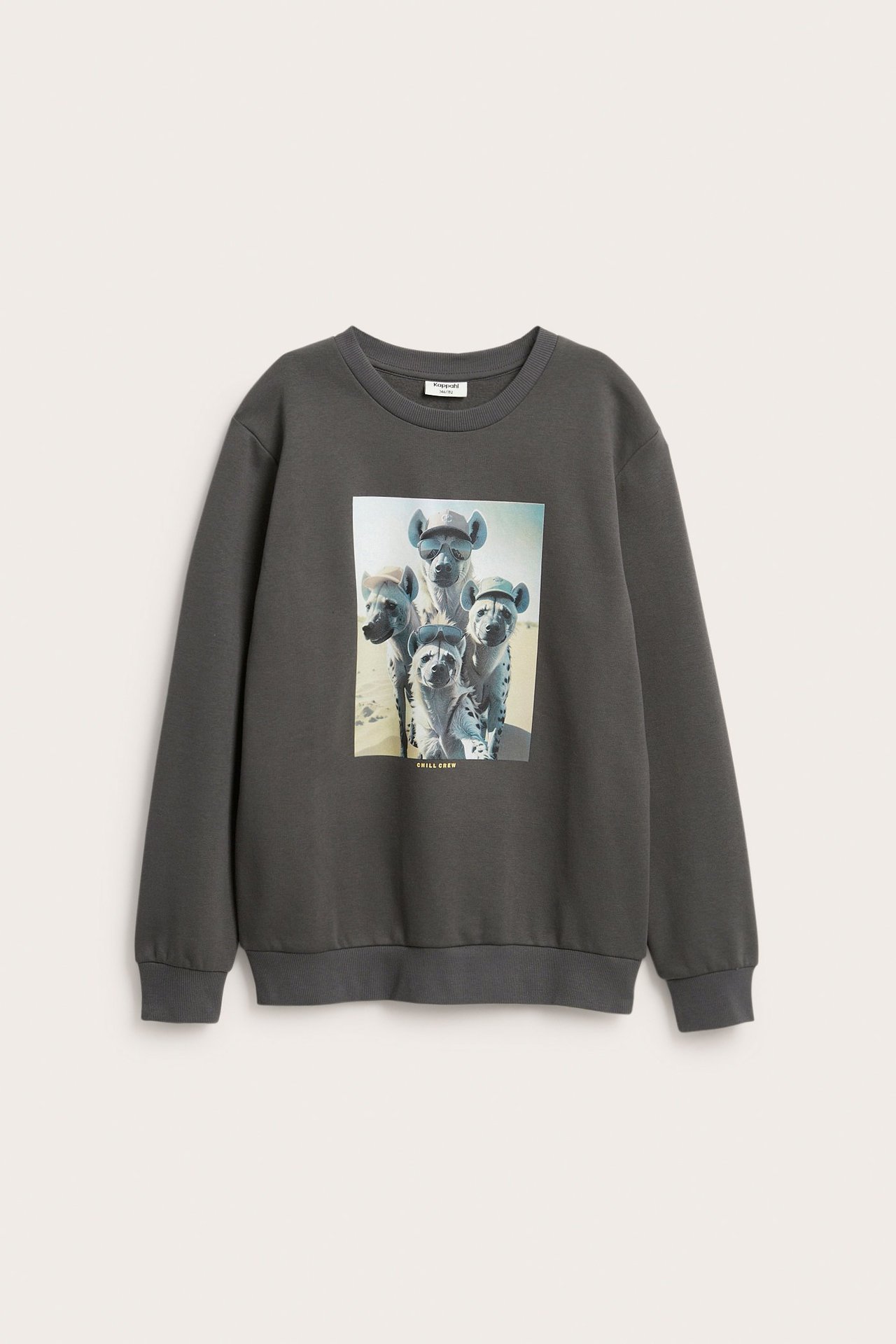 Edestä kuvattu tummanharmaa lasten puuvillasekoitepusero, jossa iso hattupäisten hyeenoiden kuva.