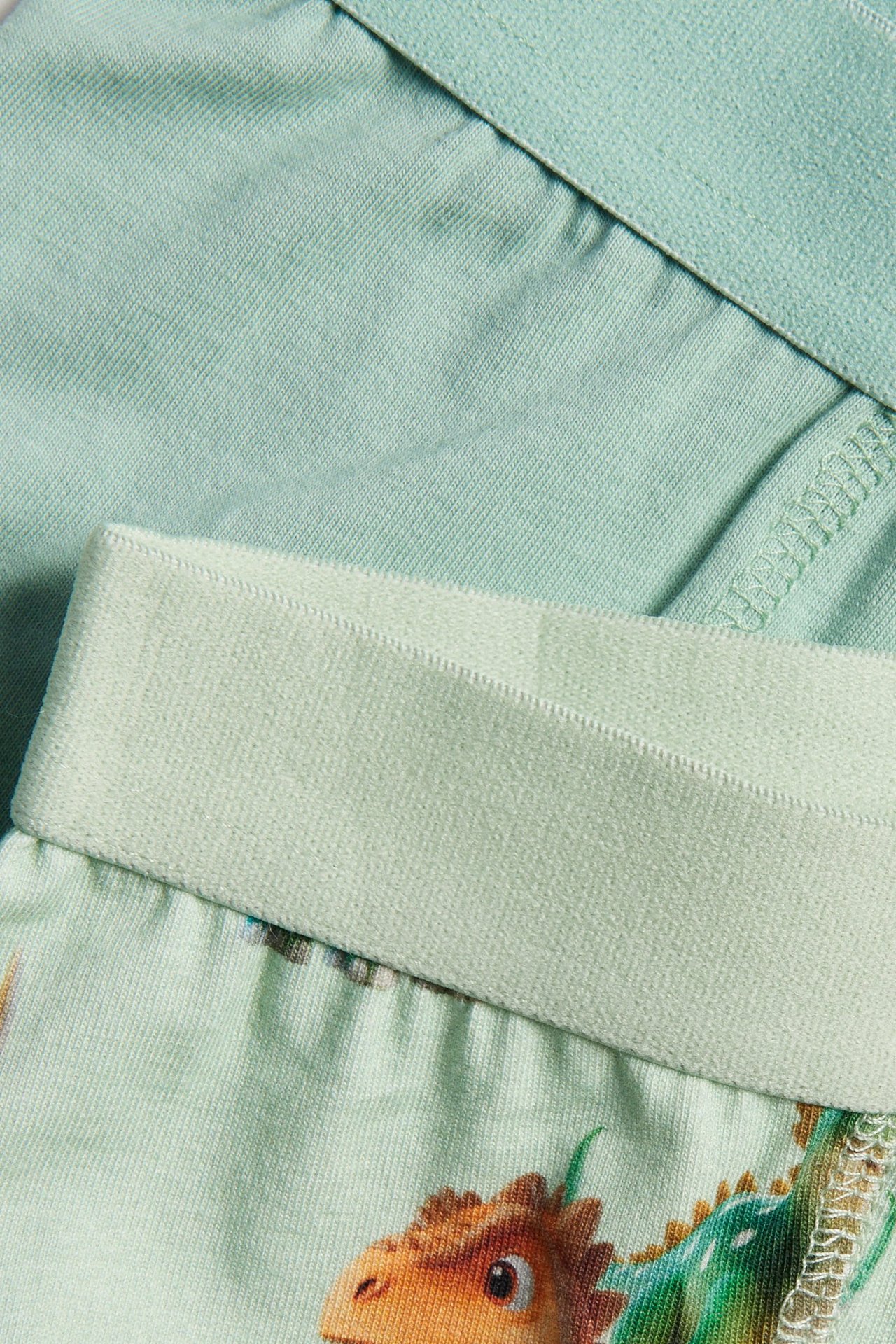 Zbliżenie na dwupak zielonych bokserek dziecięcych; jedne gładkie, drugie z kolorowym nadrukiem dinozaurów.