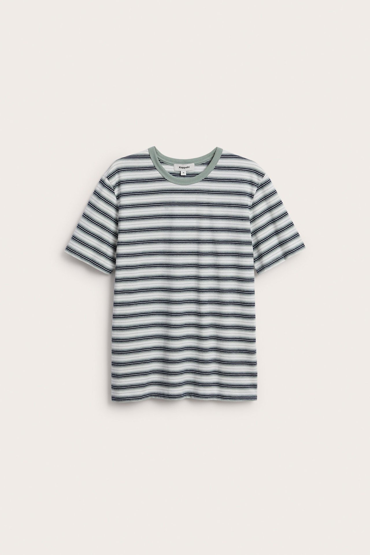 Edestä: Miesten tummansininen, vaaleansininen ja valkoraidallinen puuvilla-T-paita vaaleanvihreällä O-pääntiellä.