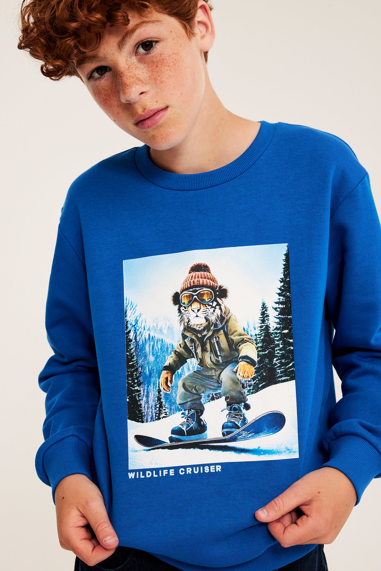 Sweatshirt med trykk