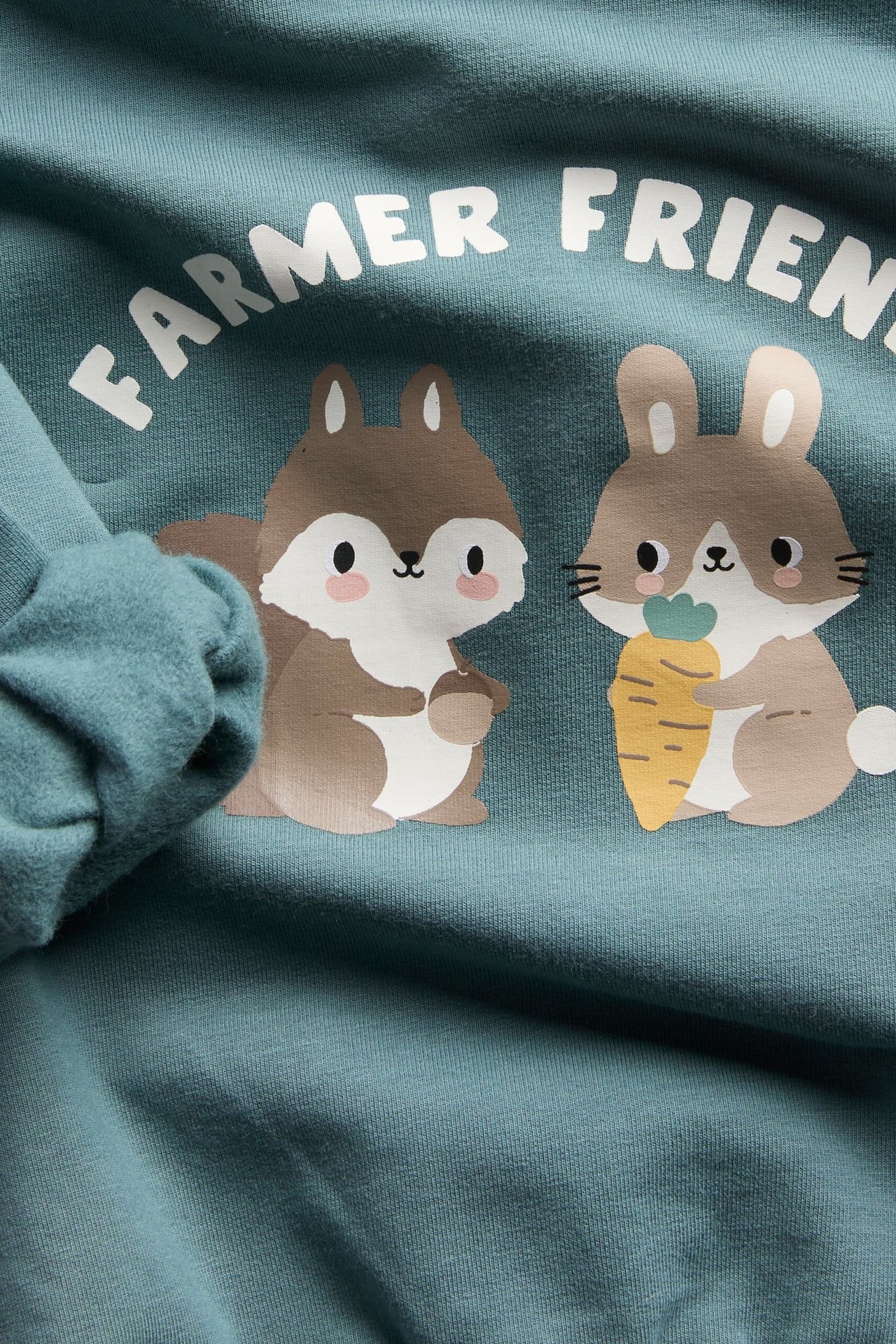 Zbliżenie na bluzę dziecięcą w kolorze morskim z nadrukiem wiewiórki i królika oraz napisem „FARMER FRIENDS”.